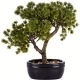 Dekoracyjne DRZEWKO BONSAI Sztuczny kwiat w Doniczce - 31 x 30 x 24 cm