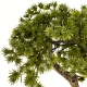 Dekoracyjne DRZEWKO BONSAI Sztuczny kwiat w Doniczce - 31 x 30 x 24 cm