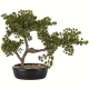 DUŻE Dekoracyjne DRZEWKO BONSAI Sztuczny kwiat w Doniczce - 38 x 45 x 25 cm