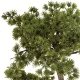 DUŻE Dekoracyjne DRZEWKO BONSAI Sztuczny kwiat w Doniczce - 38 x 45 x 25 cm