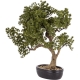 DUŻE Dekoracyjne DRZEWKO BONSAI Sztuczny kwiat w Doniczce - 58 x 60 x 34 cm