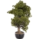 DUŻE Dekoracyjne DRZEWKO BONSAI Sztuczny kwiat w Doniczce - 58 x 60 x 34 cm