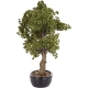 DUŻE Dekoracyjne DRZEWKO BONSAI Sztuczny kwiat w Doniczce - 58 x 60 x 34 cm