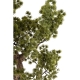 DUŻE Dekoracyjne DRZEWKO BONSAI Sztuczny kwiat w Doniczce - 58 x 60 x 34 cm