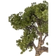 DUŻE Dekoracyjne DRZEWKO BONSAI Sztuczny kwiat w Doniczce - 82 x 93 x 40 cm