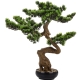 DUŻE Dekoracyjne DRZEWKO BONSAI Sztuczny kwiat w Doniczce - 67 x 60 x 33 cm