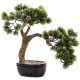 Dekoracyjne DRZEWKO BONSAI Sztuczny kwiat w Doniczce - 35 x 38 x 22 cm