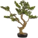 DUŻE Dekoracyjne DRZEWKO BONSAI Sztuczny kwiat w Doniczce - 85 x 88 x 36 cm
