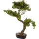 DUŻE Dekoracyjne DRZEWKO BONSAI Sztuczny kwiat w Doniczce - 75 x 65 x 35 cm