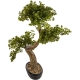 DUŻE Dekoracyjne DRZEWKO BONSAI Sztuczny kwiat w Doniczce - 75 x 65 x 35 cm