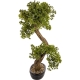 DUŻE Dekoracyjne DRZEWKO BONSAI Sztuczny kwiat w Doniczce - 75 x 65 x 35 cm