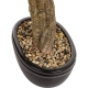 DUŻE Dekoracyjne DRZEWKO BONSAI Sztuczny kwiat w Doniczce - 75 x 65 x 35 cm