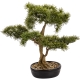 Dekoracyjne DRZEWKO BONSAI Sztuczny kwiat w Doniczce - 45 x 50 x 28 cm