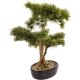 Dekoracyjne DRZEWKO BONSAI Sztuczny kwiat w Doniczce - 45 x 50 x 28 cm