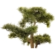Dekoracyjne DRZEWKO BONSAI Sztuczny kwiat w Doniczce - 45 x 50 x 28 cm