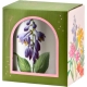 Kolekcja ARMANO Kubek 8,5 x 12 cm, 410 ml, Porcelana Bone China - KWIATY