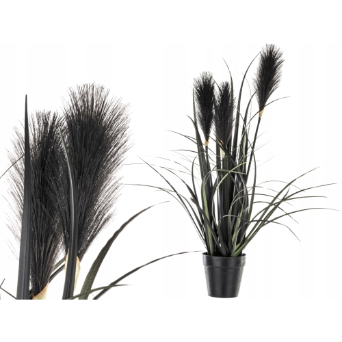 DEKORACYJNA Sztuczna Czarna trawa pampasowa 55 cm, w Doniczce 9 x 10 cm