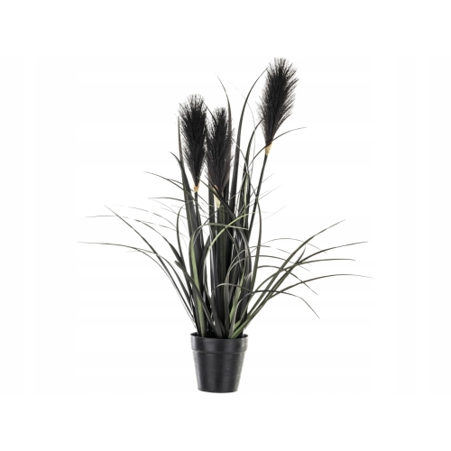 DEKORACYJNA Sztuczna Czarna trawa pampasowa 55 cm, w Doniczce 9 x 10 cm