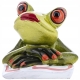 Ozdobna Figurka 5 x 17 x 6 cm - Żaba na plaży Plażowiczka