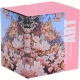 PORCELANOWY Kubek 450 ml z Zaparzaczem do HERBATY ZIÓŁ - CITY OF MAGNOLIAS